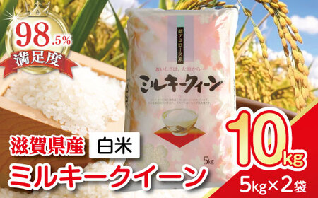  令和7年産 ミルキークイーン 10kg 白米 【T030W3】 近江米 精米 5kg 2袋