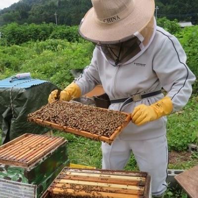 ふるさと納税 都留市 都留の富士山はちみつ『アカシア』　『クリ・ミズキ・ケンポナシ』2本セット(170g×2) |  | 03