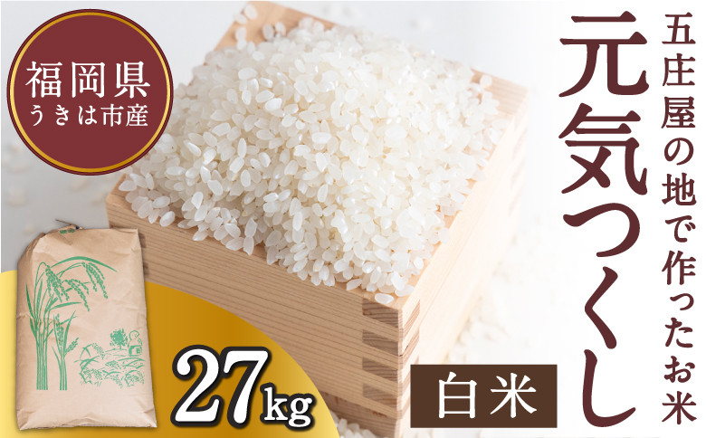 
            【特Aランク米】五庄屋の地で作ったお米 元気つくし 白米 (27kg) 【2025年10月上旬より順次発送予定】 こめ コメ ごはん ご飯 福岡県うきは市産 九州産
          