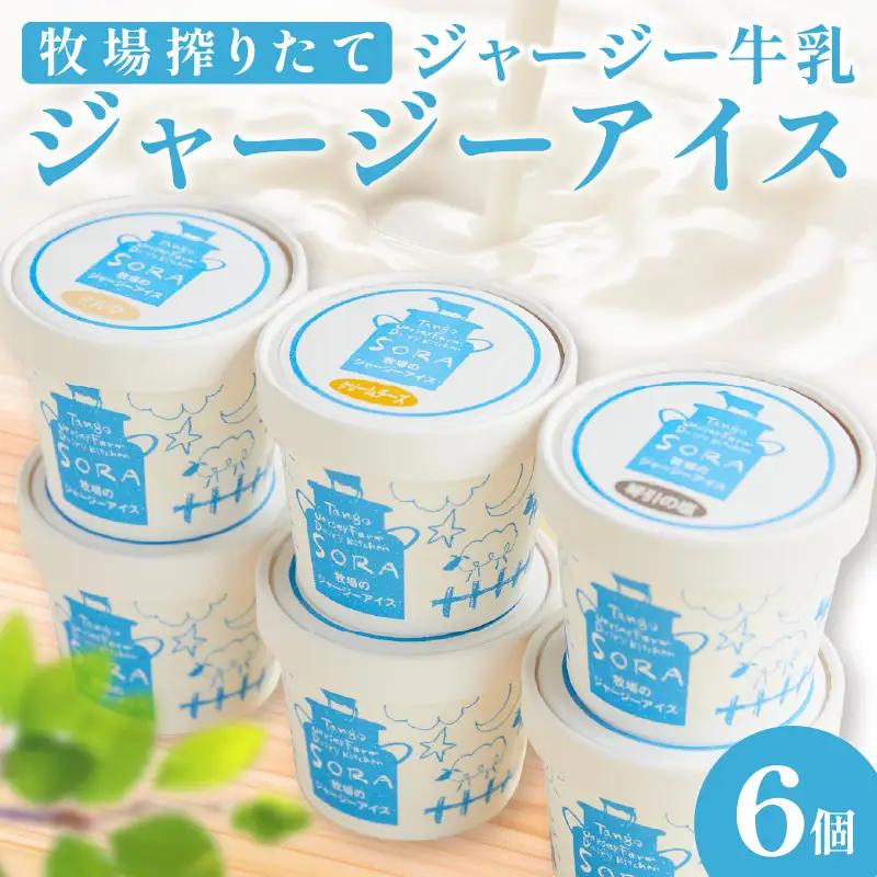 SORA 濃厚ジャージーアイス6個×100ml｜アイス・スイーツ