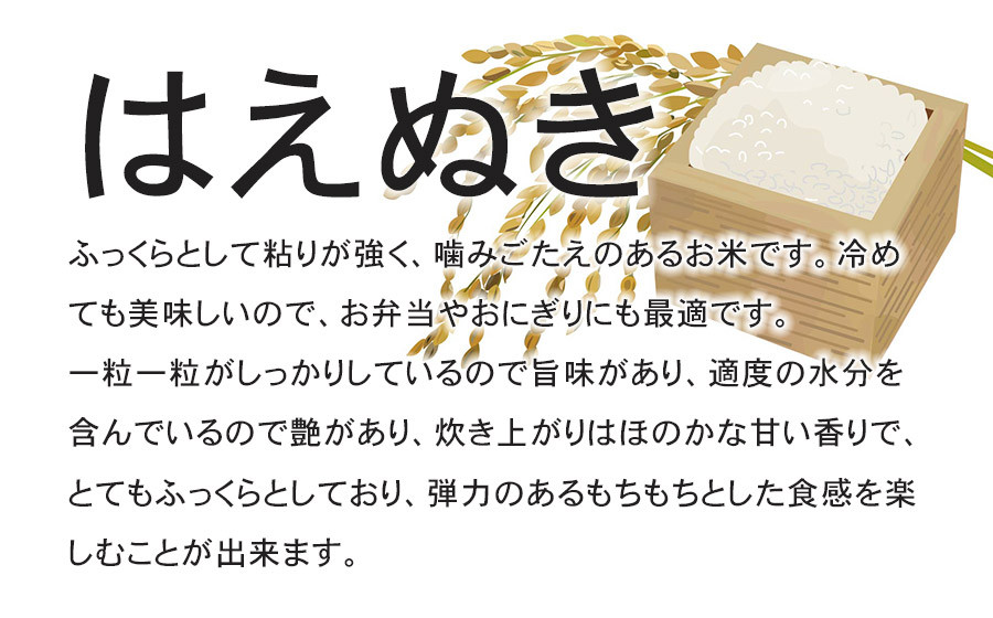 【令和8年産先行予約】 特別栽培米はえぬき　精米10kg　(5kg×2袋)　山形県鶴岡産　鶴岡協同ファーム