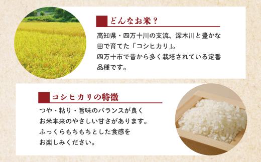 米 5kg 【 新米 令和7年産 】 四万十 の こしひかり 国産 1等米 予約 コシヒカリ 精米 お米 白米 ごはん ご飯 おいしい ふっくら もちもち 高知県 高知 四万十市 しまんと 土佐【20