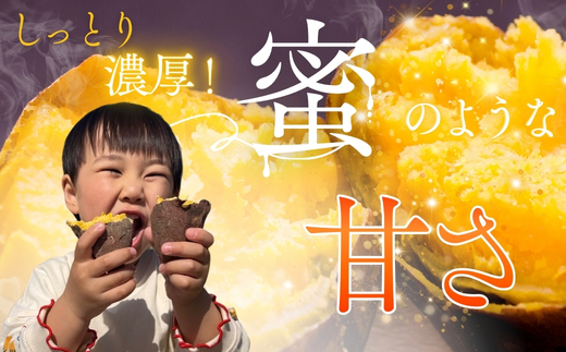 紅はるか さつまいも 10kg ｜ 熟成 数量限定 甘い 焼き芋 バター焼き サラダ 天ぷら スイーツ スイートポテト 大阪 河内長野 中村オリジナルぶどう園 訳あり 料理 国産 野菜 食育