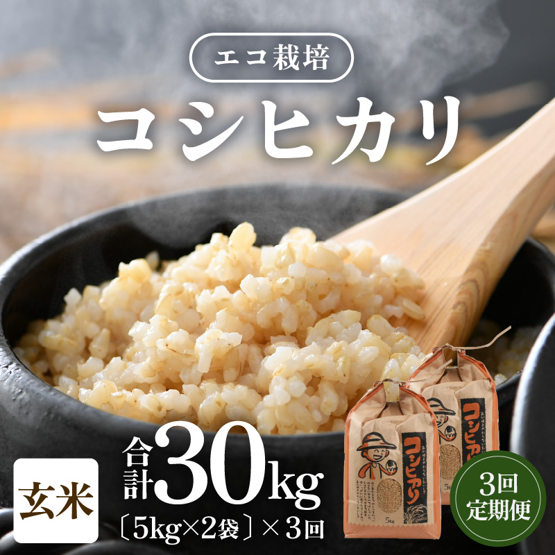 【先行予約】【令和8年産 新米】《定期便3回》エコ栽培コシヒカリ 玄米10kg（5kg×2袋）計30kg ／ 鮮度抜群 福井県産 こしひかり ご飯 新鮮 玄米 ※2026年10月上旬以降順次発送 [aw063-e006]