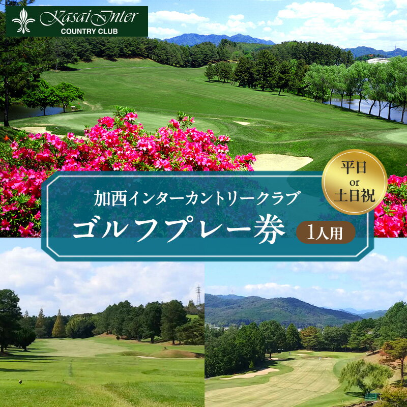 【ふるさと納税】加西インターカントリークラブ 平日 土日 1名プレー利用券 父の日 おすすめ ギフト ゴルフ場利用権