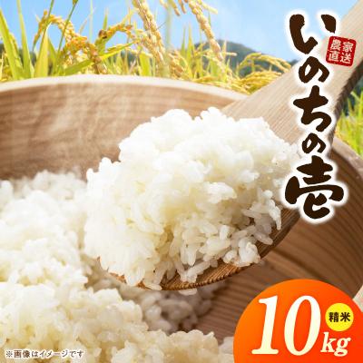 ふるさと納税 小牧市 R7年産「いのちの壱」(10kg)<農家直送> [208K10]