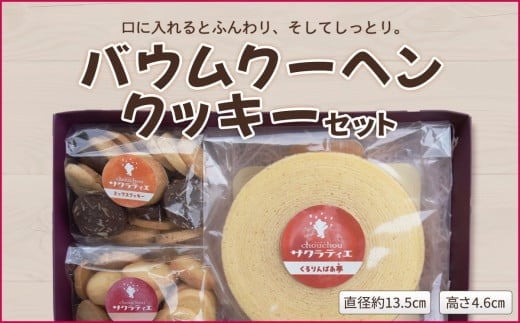 バウムクーヘン ホール 高さ 4.6 ㎝×1個 & クッキー 150g × 2袋 セット　バームクーヘン 個包装 お菓子 スイーツ デザート 菓子 焼き菓子 手焼き 洋菓子 国産 ギフト 贈答 化粧箱 詰め合わせ プレゼント 手土産 京都 綾部 ﾊﾞｳﾑｸｰﾍﾝﾎｰﾙ