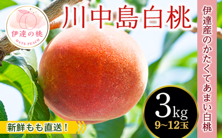 福島県産【新鮮もも直送】 川中島白桃 3kg 2025年8月中旬～2025年8月下旬発送 2025年出荷分 先行予約 予約 固め 白桃 大玉 伊達の桃 桃 もも モモ 果物 くだもの フルーツ 国産 食品  F20C-606