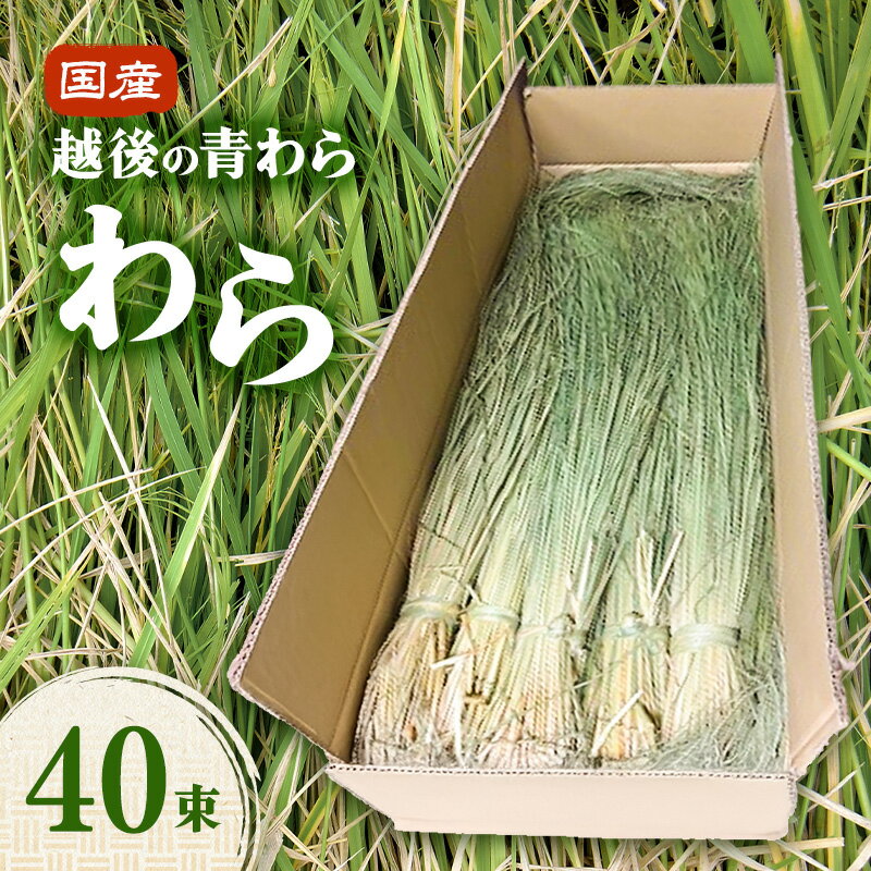 【ふるさと納税】国産越後の青刈り わら40束 青わら しめ飾り インテリア ハンドメイド 国産 新潟 越後