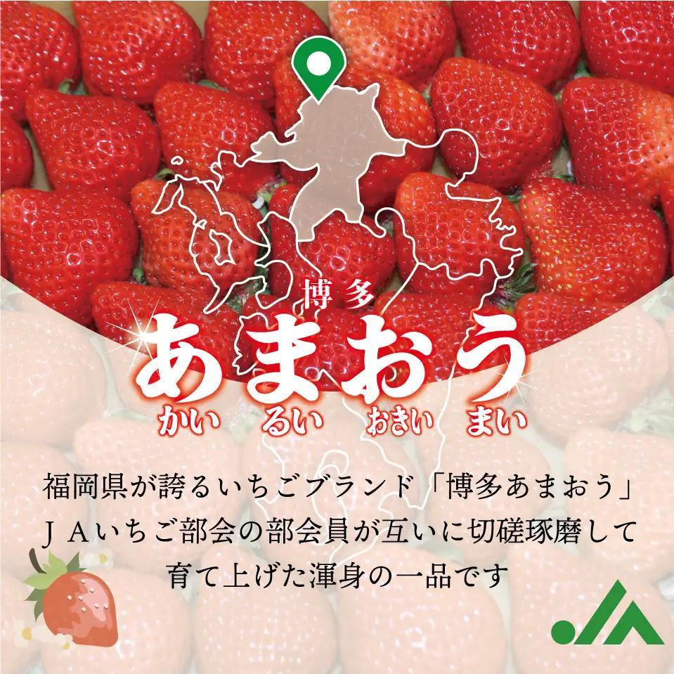 福岡県産冷凍あまおう1.6kg(800g×2袋)  [M1000]