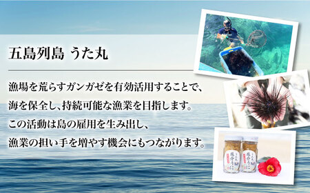 厄介うに ガンガゼの塩うに 70g×3本 / ウニ 雲丹 五島市 / うた丸 [PGA001] ウニ 雲丹 uni 塩漬 瓶詰 珍味 ウニ 雲丹 uni 塩漬 瓶詰 珍味 ウニ 雲丹 uni 塩漬 瓶