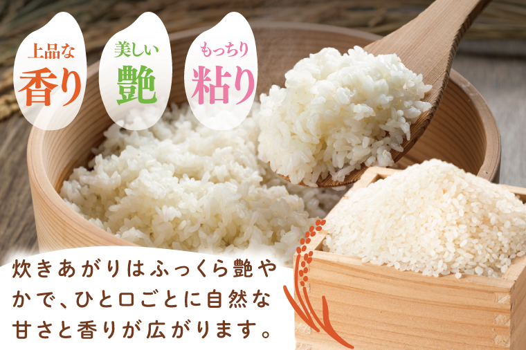 【数量限定】【家計応援】令和7年産　 農家直送 コシヒカリ 10kg【米 こしひかり ごはん おにぎり 水戸市 水戸 茨城県 】(KV-6)