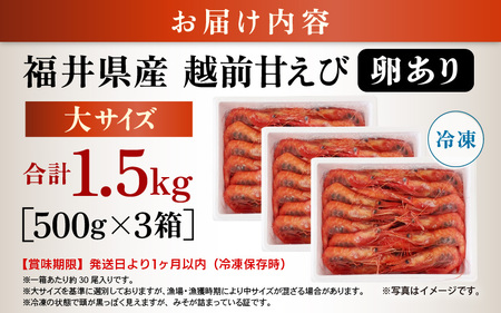 【年内配送】大好評！天然 越前甘エビ（卵あり）大サイズ計1.5kg（500g × 3箱）（合計約90尾入り）解凍方法説明書付き 船内凍結 酸化防止剤不使用！ 甘エビ本来の味をお楽しみください【えび エ