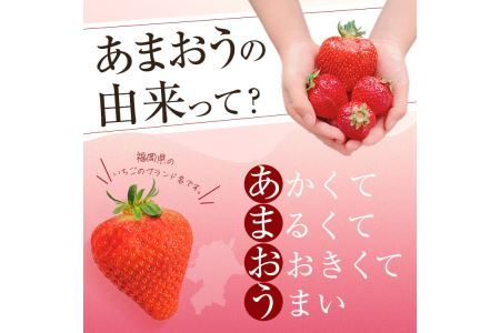 ＜予約受付中！2024年12月中旬より順次発送予定＞うるう農園のスタンダードあまおう(計1.14kg・285g×4P) ふるさと納税 春日市 特産品 苺 いちご イチゴ 果物 フルーツ 国産 福岡県 