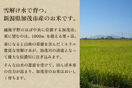【定期便3回毎月お届け】新潟県加茂市産 特別栽培米コシヒカリ 精米15kg（5kg×3）白米 従来品種コシヒカリ 加茂有機米生産組合 定期便 定期購入 定期 コシヒカリ 新潟県産コシヒカリ 米 お米