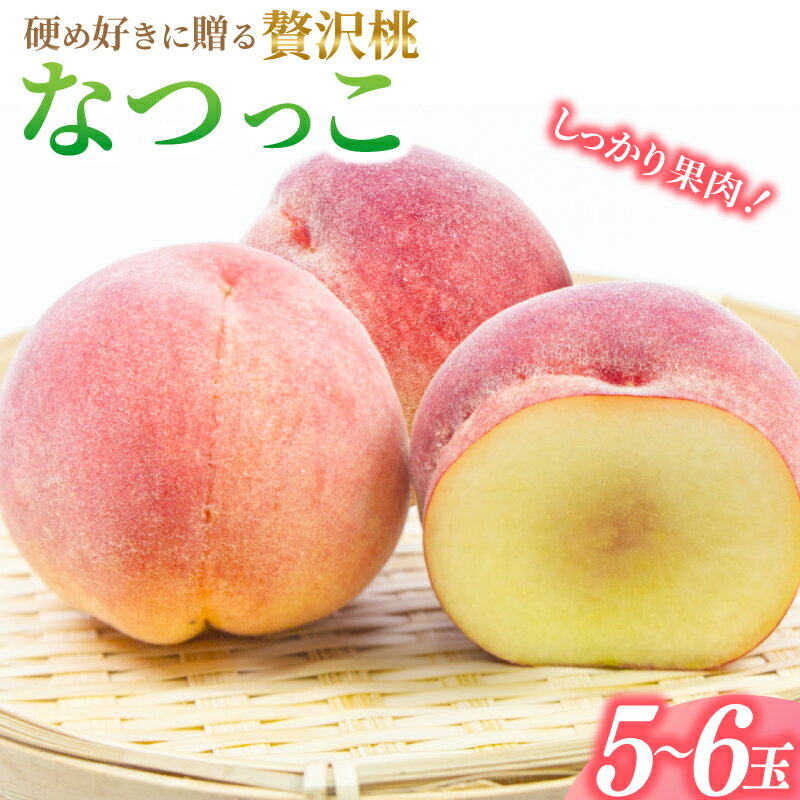 【ふるさと納税】しっかり果肉！硬め好きに贈る贅沢桃　なつっこ【5～6玉】【先行予約】【2026年6月下旬～8月上旬順次発送】/あおぞらふぁーむ 桃 完熟 かつらぎ町 高野山 和歌山県 もも フルーツ 果物 くだもの 食品 人気 おすすめ 産地直送 送料無料【aozf002】