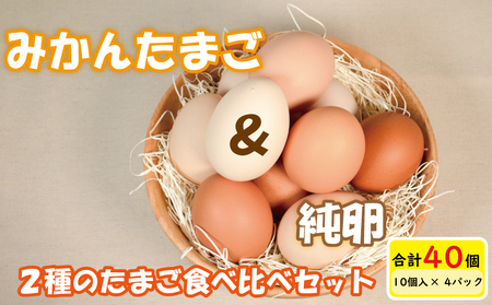  2種のたまご食べ比べセット 計40個(10個×4パック) ※割れ保証5個含む  【VEG017_1】たまご 玉子 たまご 鶏卵 たまご 生卵 たまご 生たまご