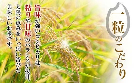 早場米 コシヒカリ 計5kg 米 お米 ご飯 ライス 国産 食品 精米 白米 こしひかり 有洗米 令和5年産 送料無料_B226-23