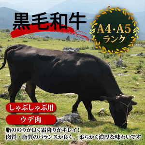土佐 黒毛 和牛 しゃぶしゃぶ用 800g （ 400g × 2パック ） | 特撰 ウデ肉 肩肉 最上位等級 A4 A5 最高ランク 贅沢 しゃぶしゃぶ　鍋 スライス 焼肉用 小分け 冷凍 国産 牛