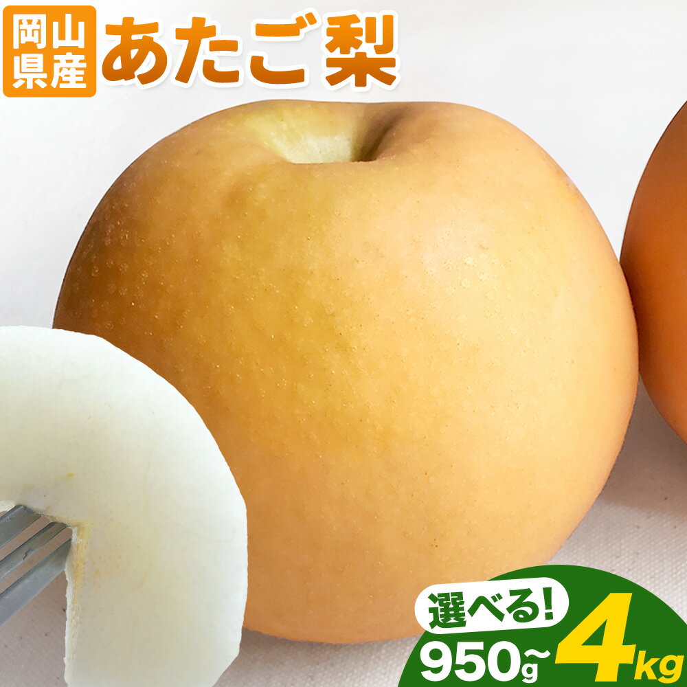 【ふるさと納税】【発送先行予約】 岡山県産 あたご梨 選べる 大玉2玉（950g以上）約4kg（3~6玉）約3kg(3~5玉) 有限会社ホーティカルチャー神島《2026年11月中旬-12月中旬頃出荷》岡山県 浅口市 なし 梨 果物 【配送不可地域あり】
