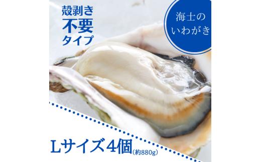 【殻剥き不要】海士のいわがき殻なしLサイズ4個入り（約880ｇ）御歳暮 ギフト