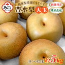 【ふるさと納税】【先行予約】《数量限定》豊水梨【大玉】11～12玉入 約5kg もぎたて 新鮮 ／ 期間限定 果物 フルーツ 農家直送 お取り寄せ 豊水 梨 なし 福井県 あわら市 ※2024年9月上旬より順次発送