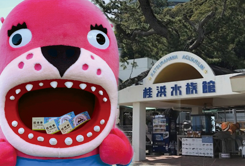 
【B06037】桂浜水族館　入館券
