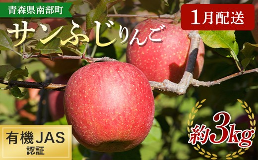 ［1月配送］ ≪先行予約≫ 有機JAS認証 サンふじ りんご 約3kg 【和楽堂りんご養生農苑】 青森りんご リンゴ 林檎 アップル 果物 くだもの フルーツ オーガニック 無農薬 おすすめ あおもり 青森県 三戸 南部町 F21U-701