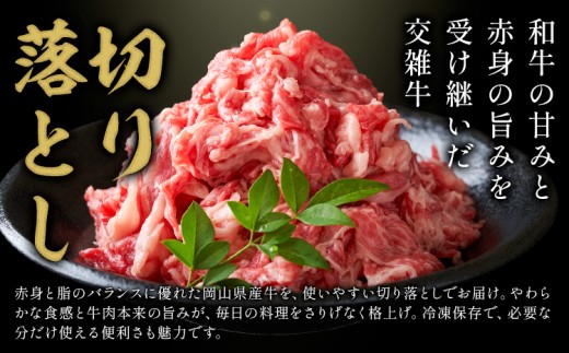 岡山県産牛 切り落とし 交雑牛 500g《60日以内に出荷予定(土日祝除く)》 岡山県 浅口市 肉 送料無料