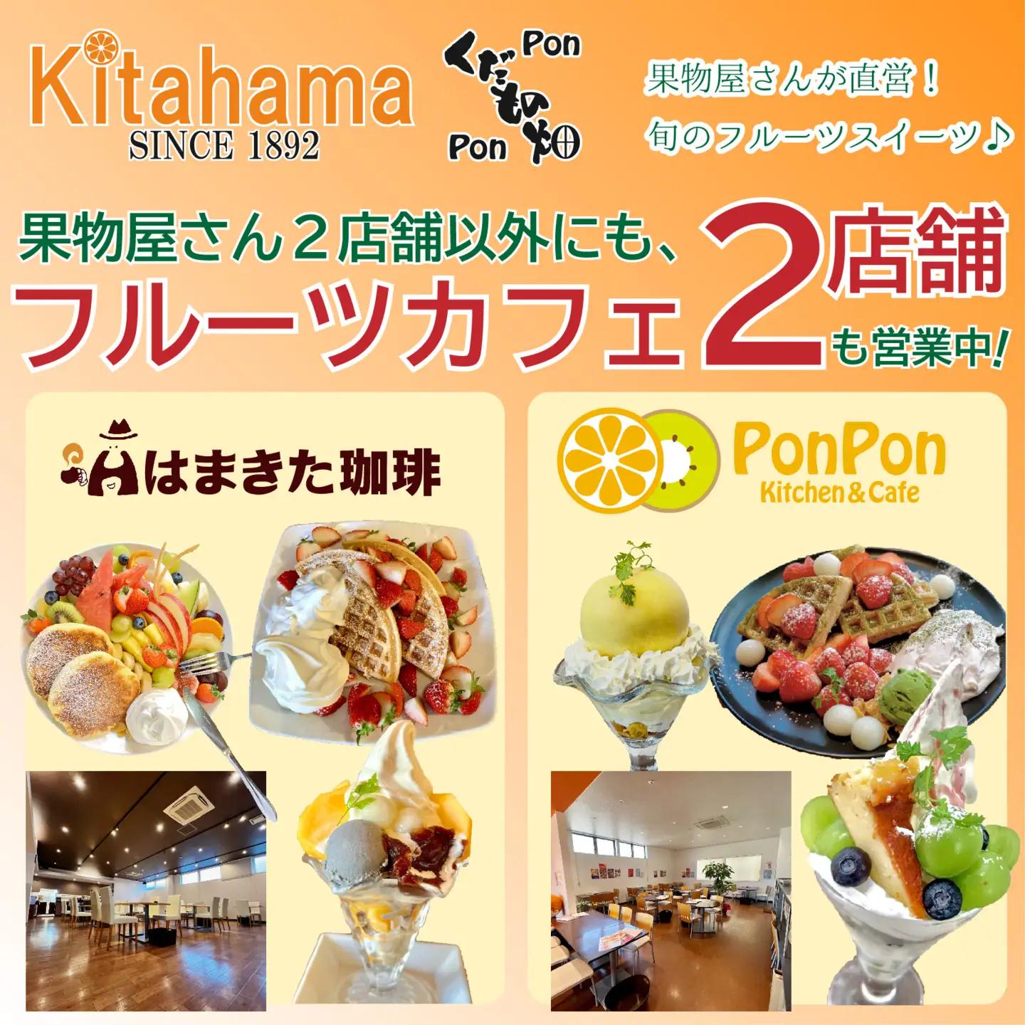 【全3回】フルーツ定期便 夏のいいとこどり フルーツ 定期便
