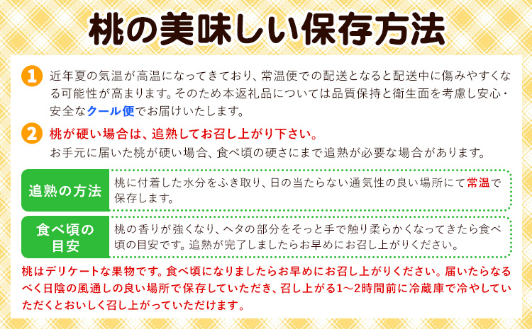 【2回定期便】桃 岡山の桃定期便 2回ｺｰｽ 岡山県産 岡山白桃 黄金桃 株式会社山博《2026年7月上旬-9月末頃出荷》岡山県 笠岡市 フルーツ 果物 白桃 もも お取り寄せ【配送不可地域あり】--