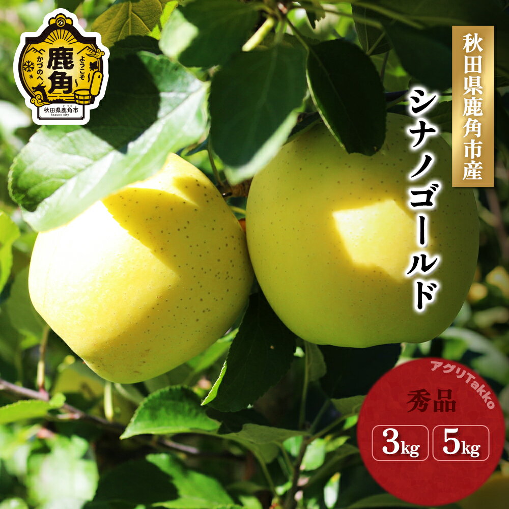 【ふるさと納税】《 先行予約 》 りんご 秀品 鹿角りんご シナノゴールド 秀品 贈答用 3kg / 5kg シナノ ゴールド 数量限定 リンゴ 完熟 旬 県産りんご お中元 お歳暮 グルメ ギフト 故郷 秋田 あきた 鹿角市 鹿角 送料無料 【アグリTakko】