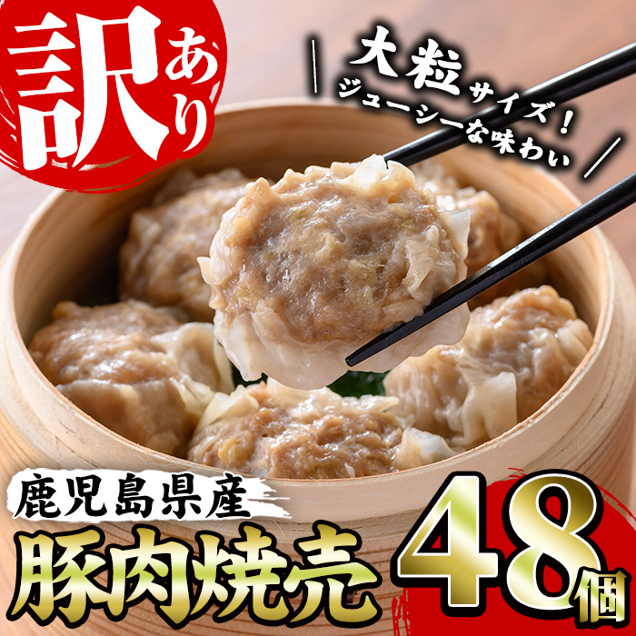 《訳あり・業務用》鹿児島県産豚肉使用！焼売セット (計48個・24個×2P) 国産 九州産 鹿児島 豚 肉 ブタ シュウマイ しゅうまい シューマイ 中華 大粒 冷凍 レンジ 惣菜 時短 冷凍 食卓 夕食 弁当 おかず【鹿児島協同食品】【A-1873H】