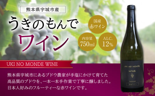 ワイン 赤ワイン 宇城市産 うきのもんでワイン 赤 750ml×1本 ワイン お酒