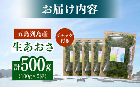 上五島産 生あおさ 100g×5袋【ごとうみ】[RCR001]