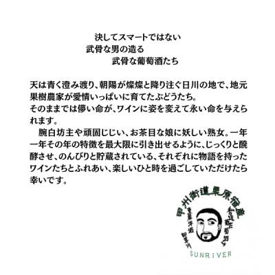 ふるさと納税 山梨市 東晨洋酒 あきあかね 無添加ワイン |  | 02