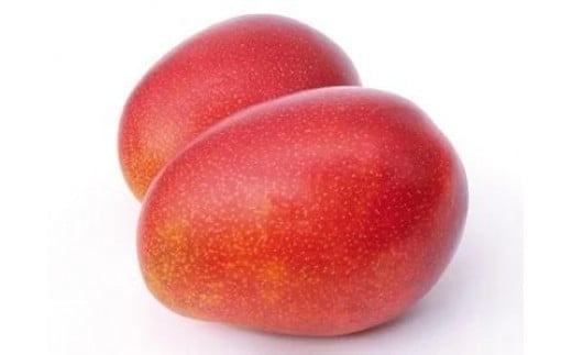 
            【2025年発送】＜優品＞完熟アップルマンゴー約1.5kg（化粧箱）6玉
          