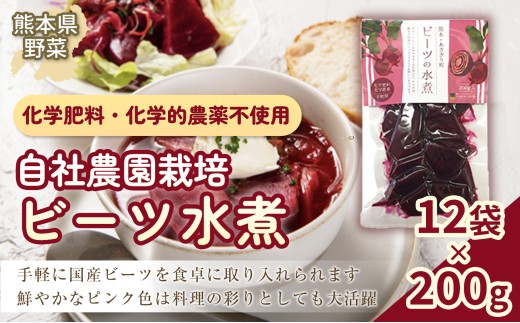 自社農園栽培 ビーツ 水煮 2.4kg （200g×12袋） やさい 野菜 ボルシチ 小分け レトルトパウチ 健康 美容 国産 九州 熊本県 あさぎり町