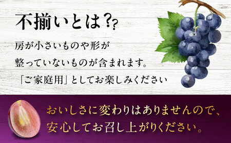 【すぐ届く】不揃い小房 訳ありニューピオーネ5房[APAB003] ぶどう