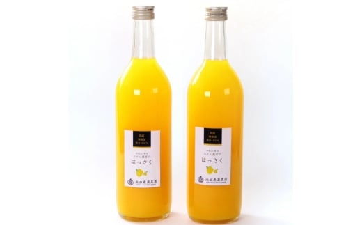 無添加 はっさく ジュース 720ml×4本 【ikd255】