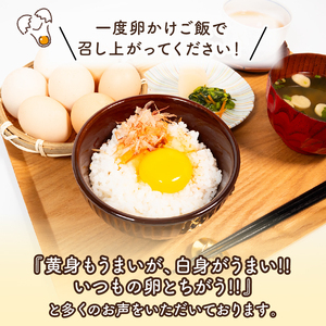 訳あり B級卵 たまご 25個 有精卵 ご飯 【卵】