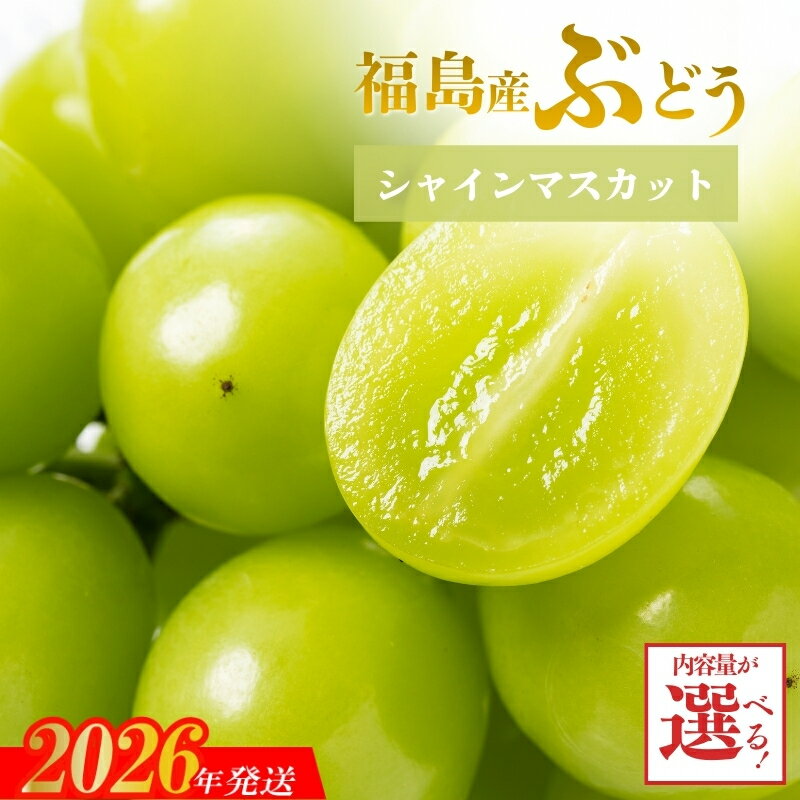 【ふるさと納税】ぶどう シャインマスカット 約1.5kg (2〜3房) 約2.5kg (3～4房)【2026年発送】円和 青果部 フルーツ 果物 お取り寄せ おとりよせ 福島 ふくしま 福島市