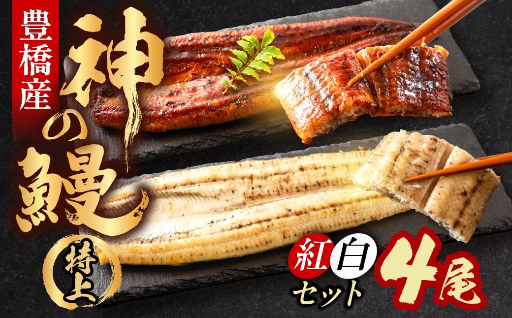 
                  うなぎの新ブランド、開幕。『神の鰻』4尾【紅白セット】 国産 特上 選べる お届け時期 鰻 うなぎ unagi ウナギ 蒲焼 長蒲焼 国産うなぎ 上 特上 贈答 ギフト お歳暮 プレゼント お祝い 誕生日 土用の丑の日 愛知県 豊橋市
                