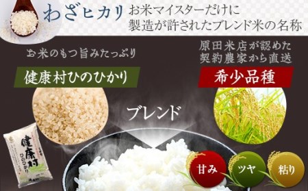 【6ｶ月定期便】わざヒカリ5kg 米 JS-338