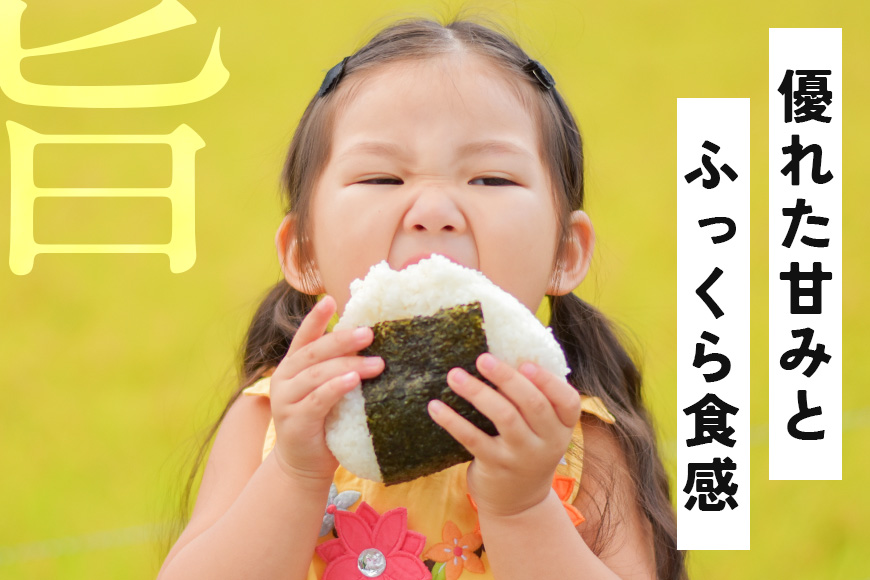 【3ヶ月定期便】令和7年産 新米 コシヒカリ 米 10kg (5kg×2袋) 計30kg 白米 こめ こしひかり 国産 国産米 取り寄せ ごはん ご飯 コメ お取り寄せ お弁当 弁当 おにぎり 産地直