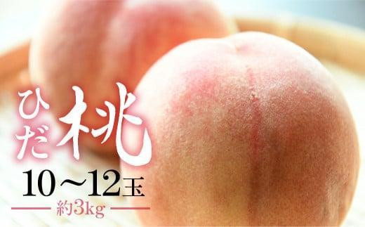 
                  【数量限定】 <8月中旬～順次発送 > ひだ桃 10～12玉 3kg前後 ❘ 桃 箱詰め 桃 もも フルーツ 果物 飛騨高山 産地直送 期間限定 飛騨もも ひだ桃源郷 CN010
                