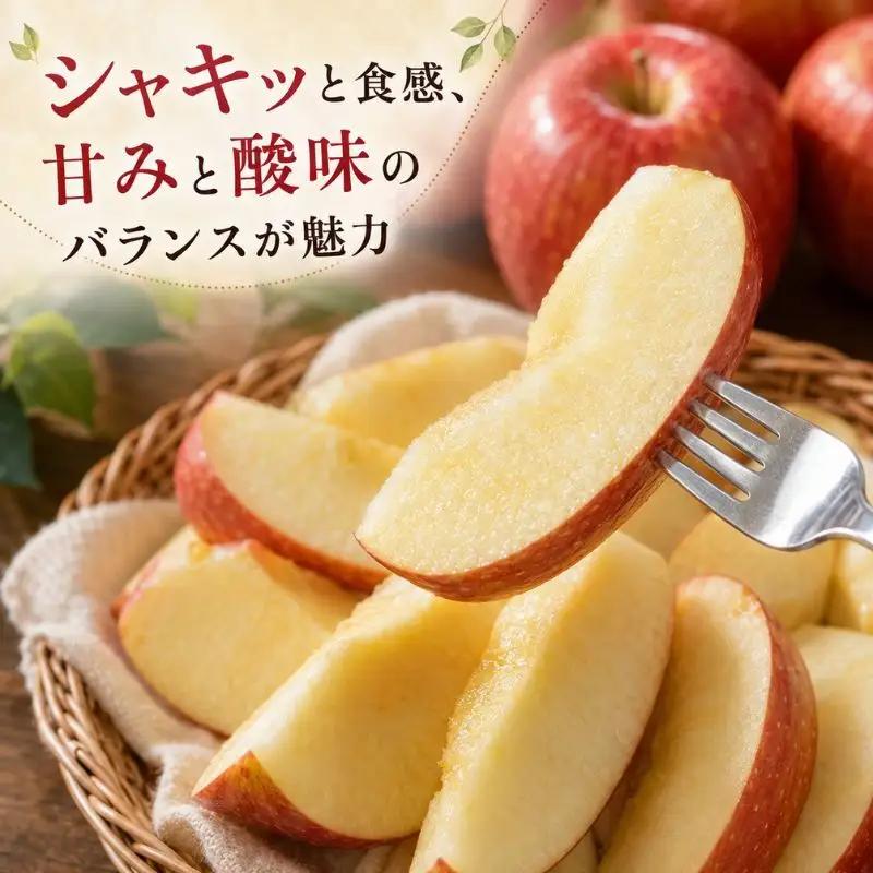 りんご 長野 贈答用 サンふじ 約3kg りんご
