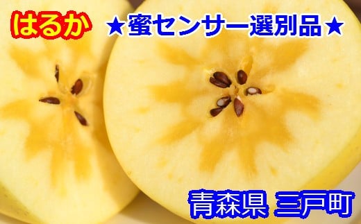 ★蜜センサー選別品★高級りんご【はるか】約3kg（8～12玉）【2025年産・先行予約】★2025年12月上旬～2026年1月上旬頃まで発送予定★ 青森県三戸町産
