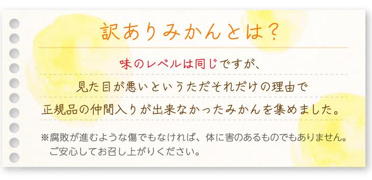 みかん【和歌山のみかん】訳あり 10kg 大小混合サイズ ご家庭用 10月中旬から3月頃まで順次発送 まごころ産直みかんより農家直送 【北海道・沖縄県・一部離島 配送不可】