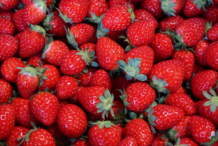 【湘南産】ジャム4個セット